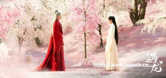 记忆大师卢菲菲教你的，这里也有